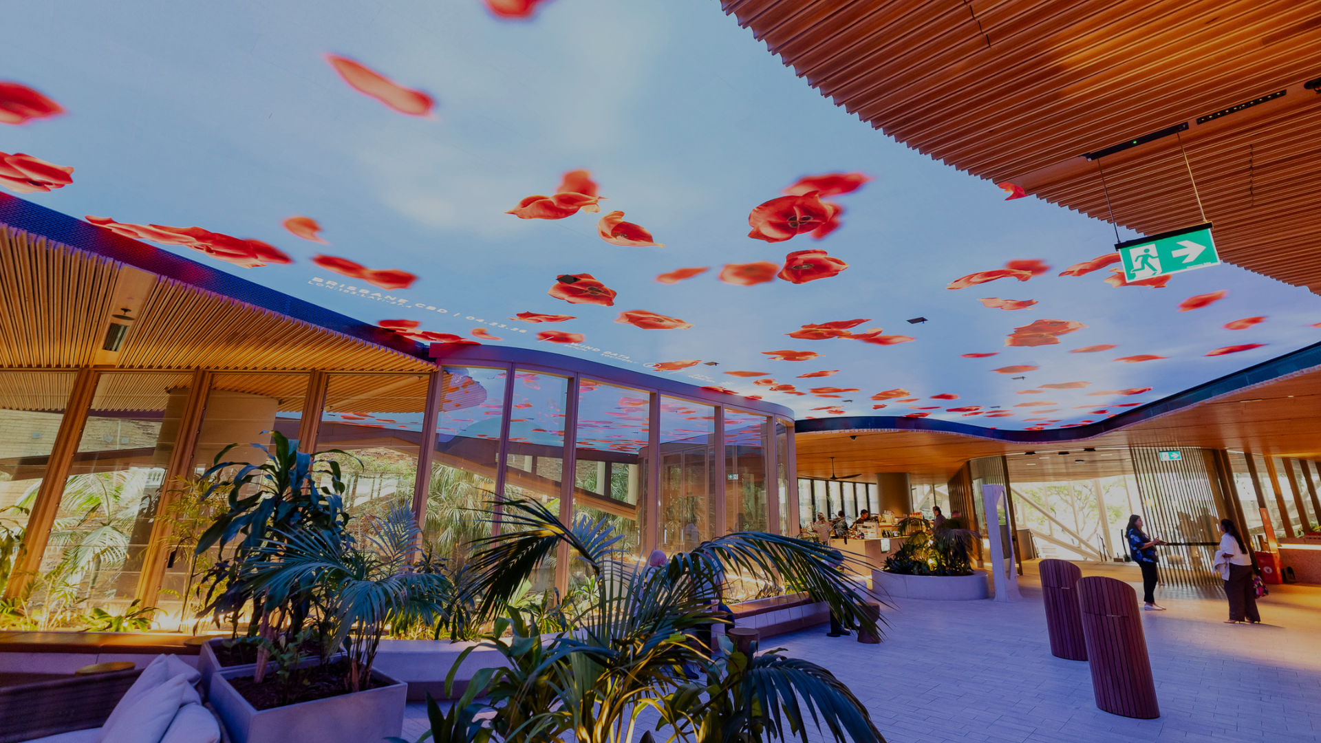 Expressions of Interest Now Open 