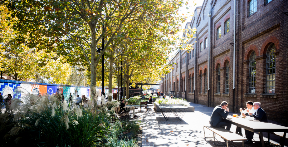 South Eveleigh trees and people sitting