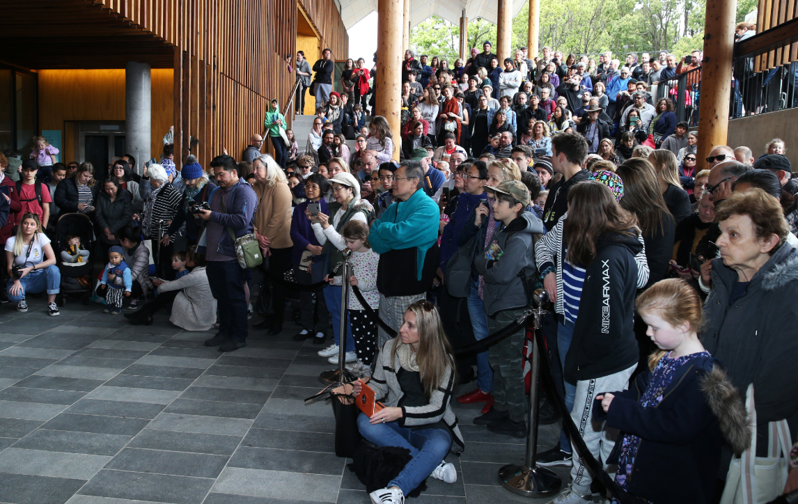 Crowd gathered at Marrickville library for opening