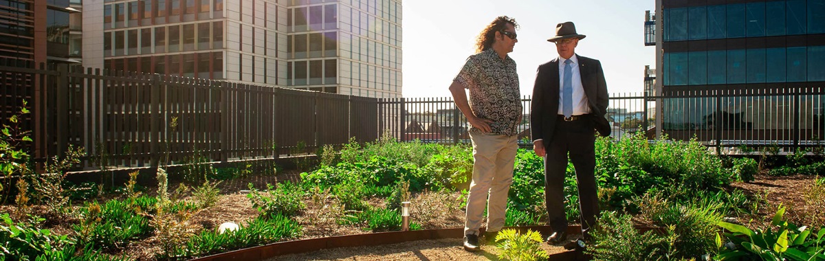 Yerrabingin rooftop garden