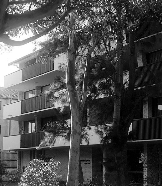 Montrose Rose Bay