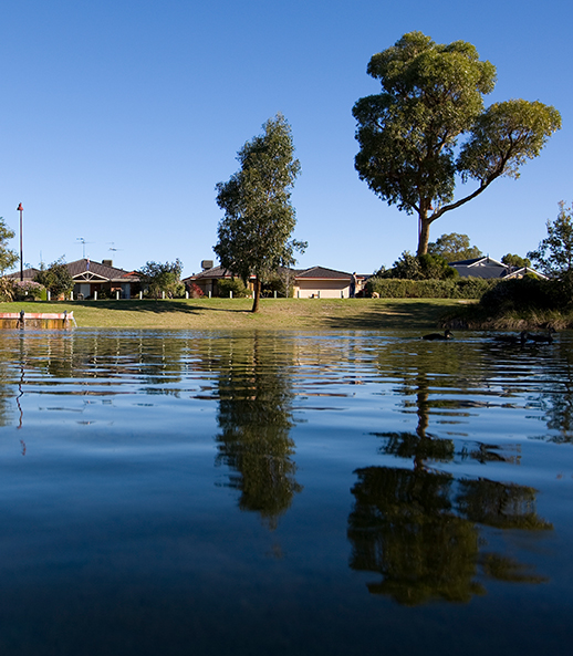 Meadow Springs