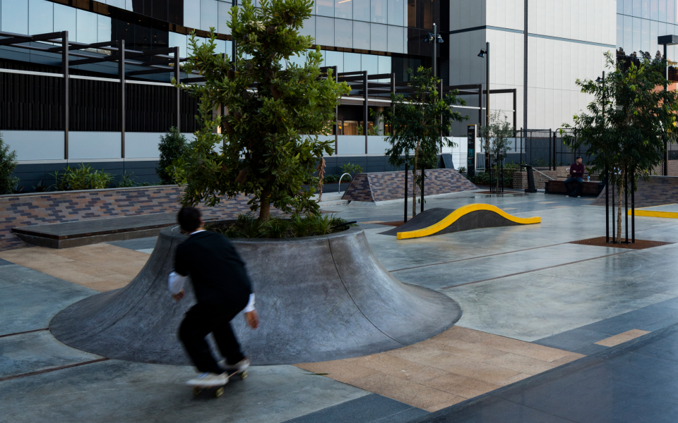 treehouse south eveleigh