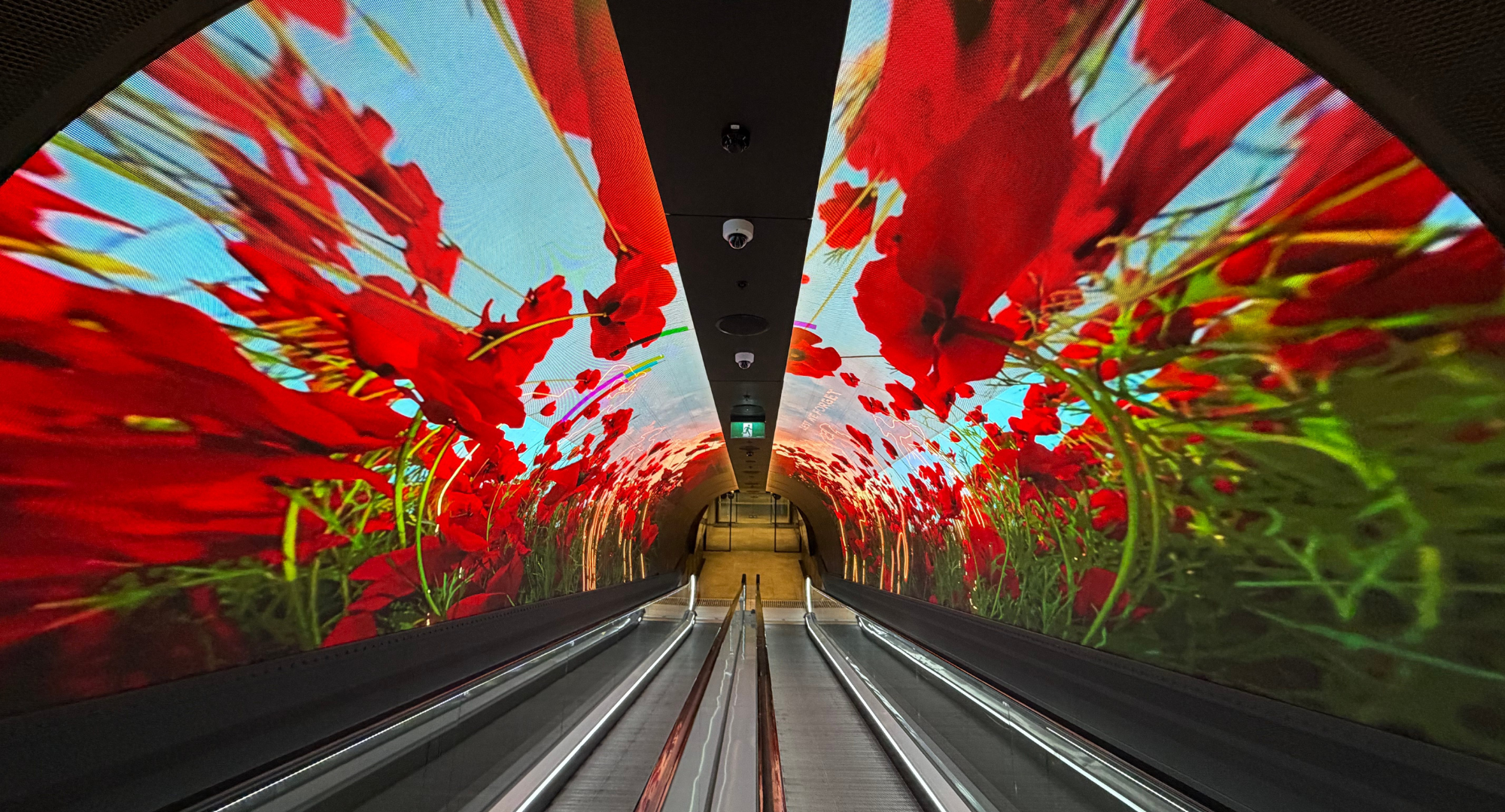 Anzac Day at South Eveleigh