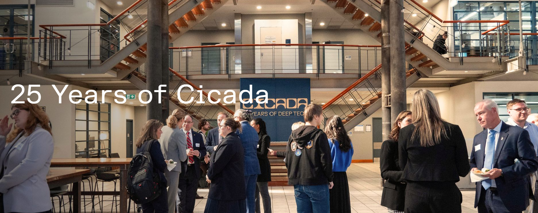 cicada event
