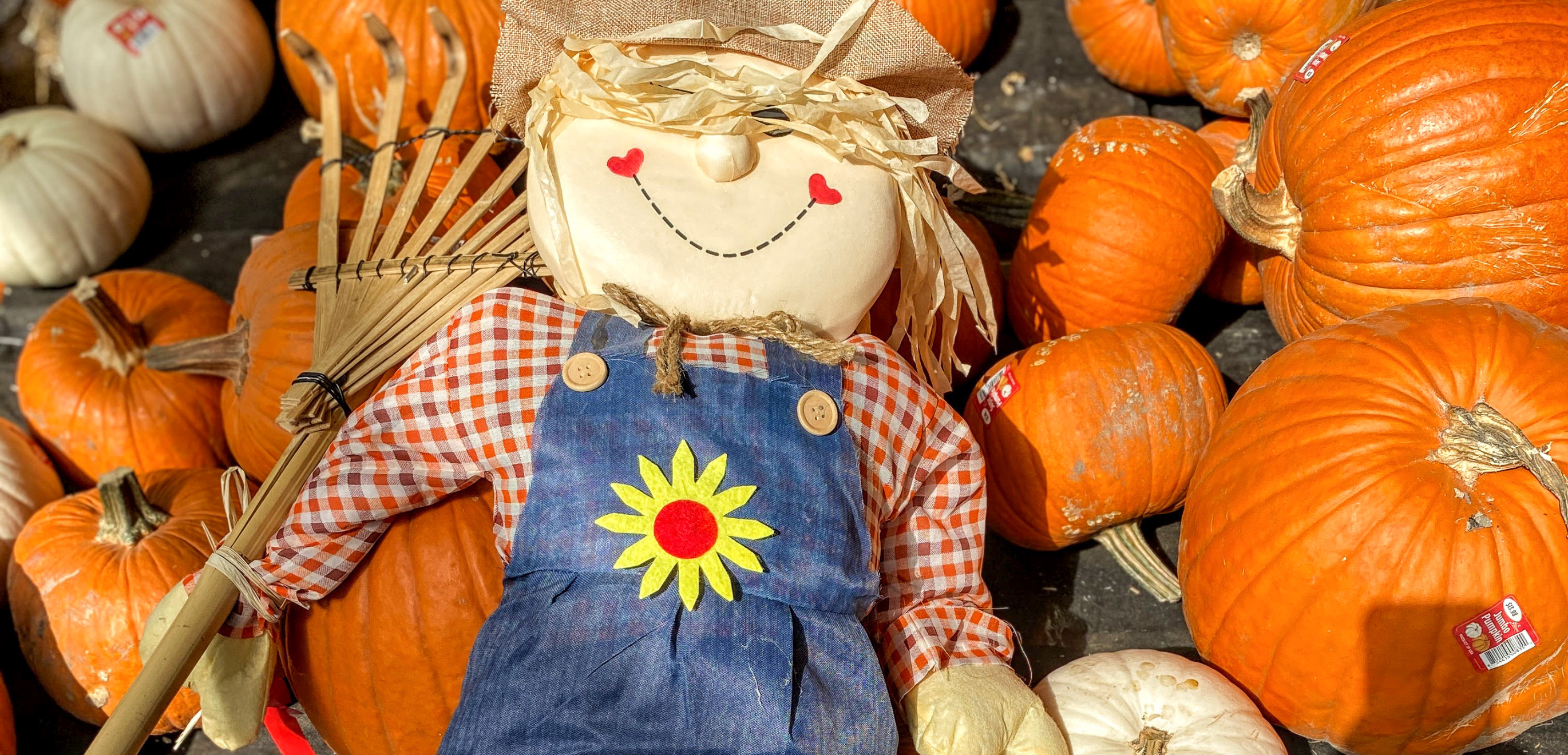 scarecrow banner