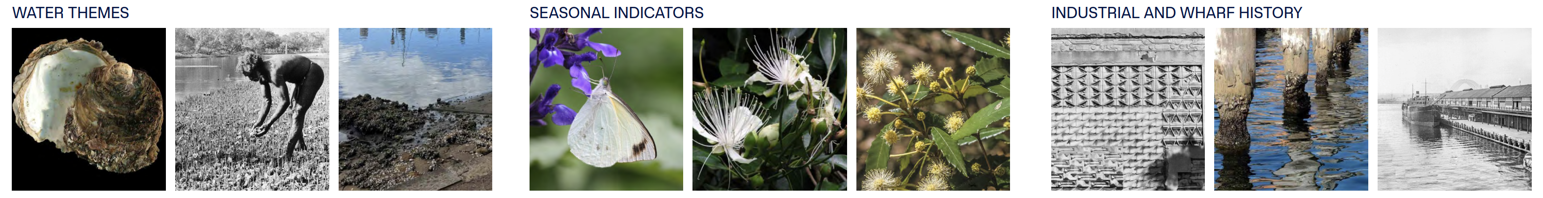 Description of top image