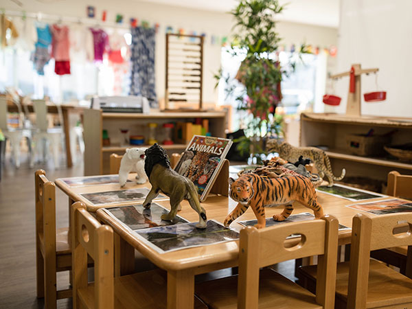 Ascot kindy and child care