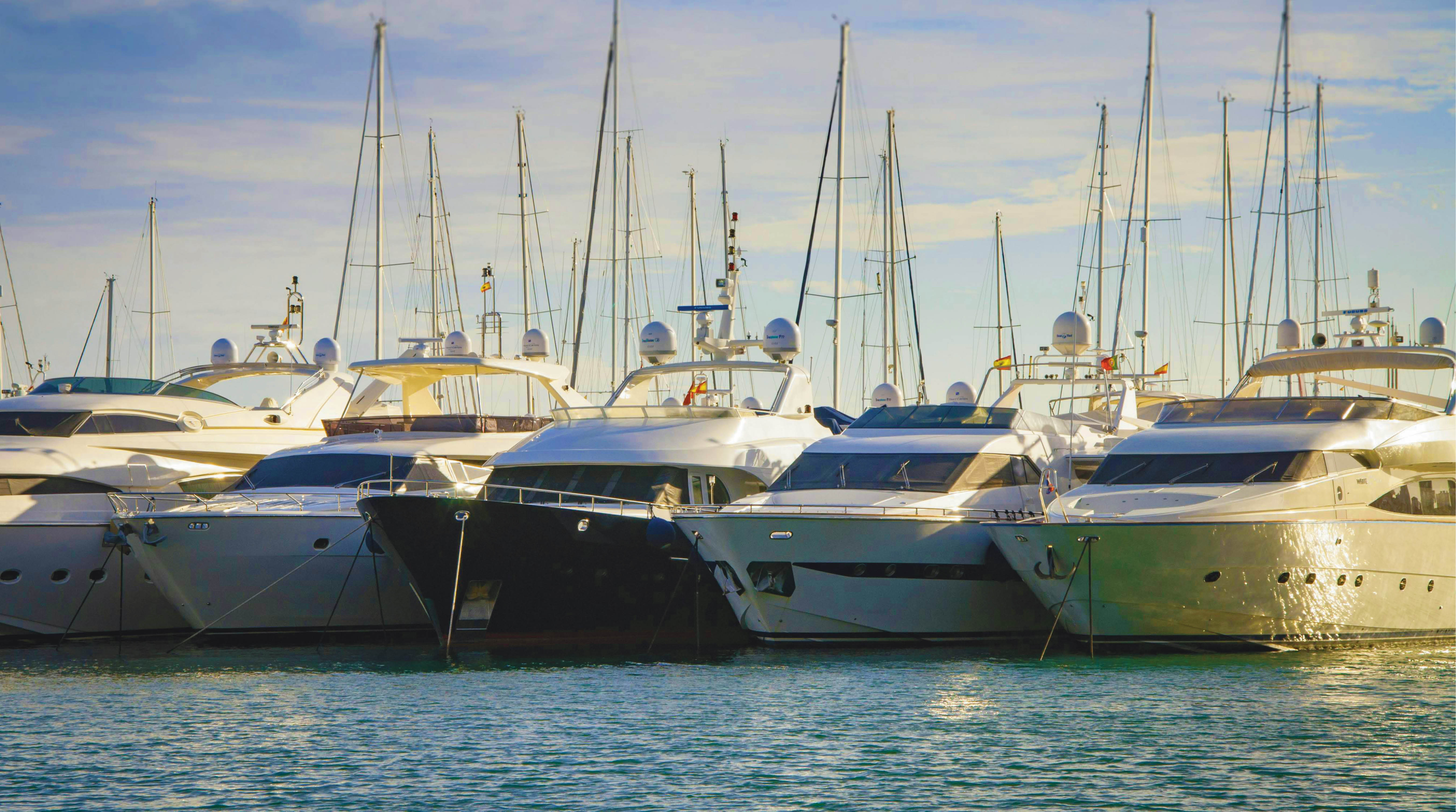 Pyrmont Boats 1299