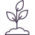 Dollar Icon