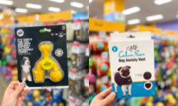 PetBarn Dog Products