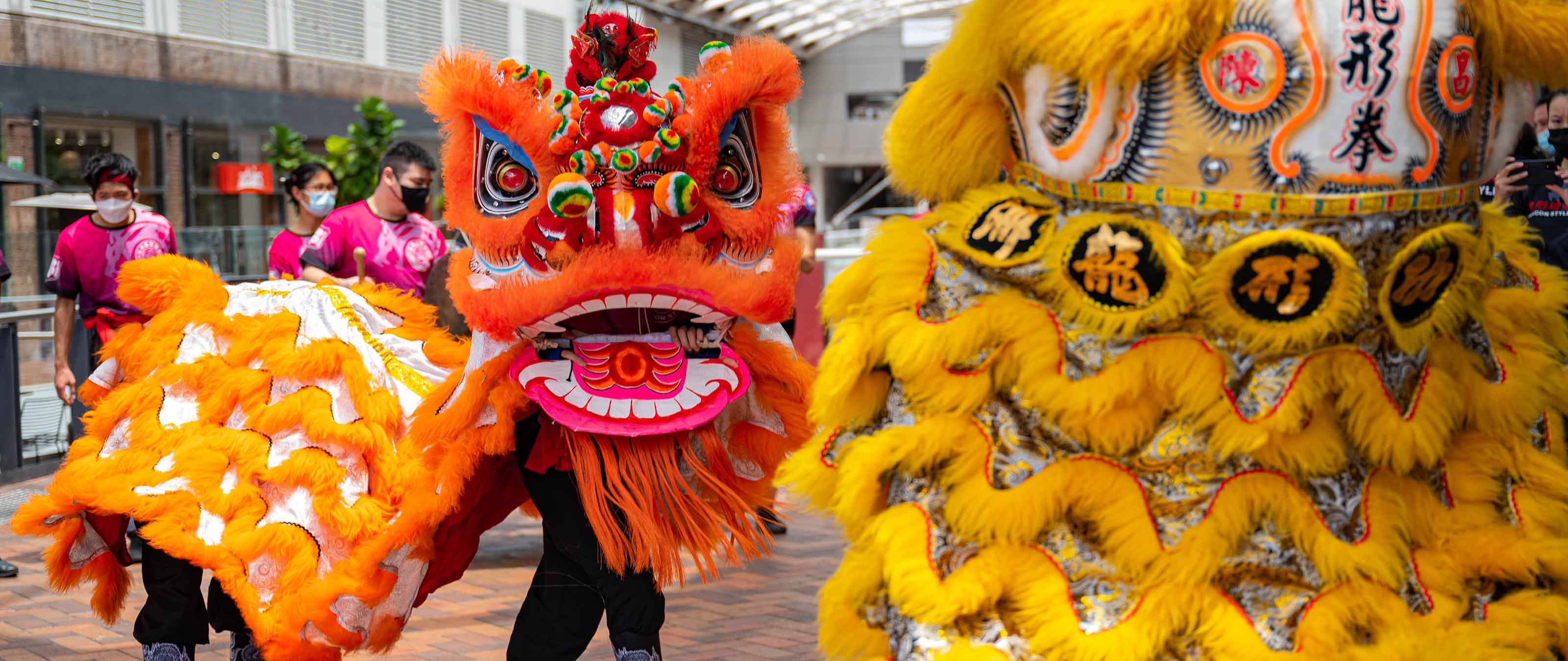 Majestic Lion Dance