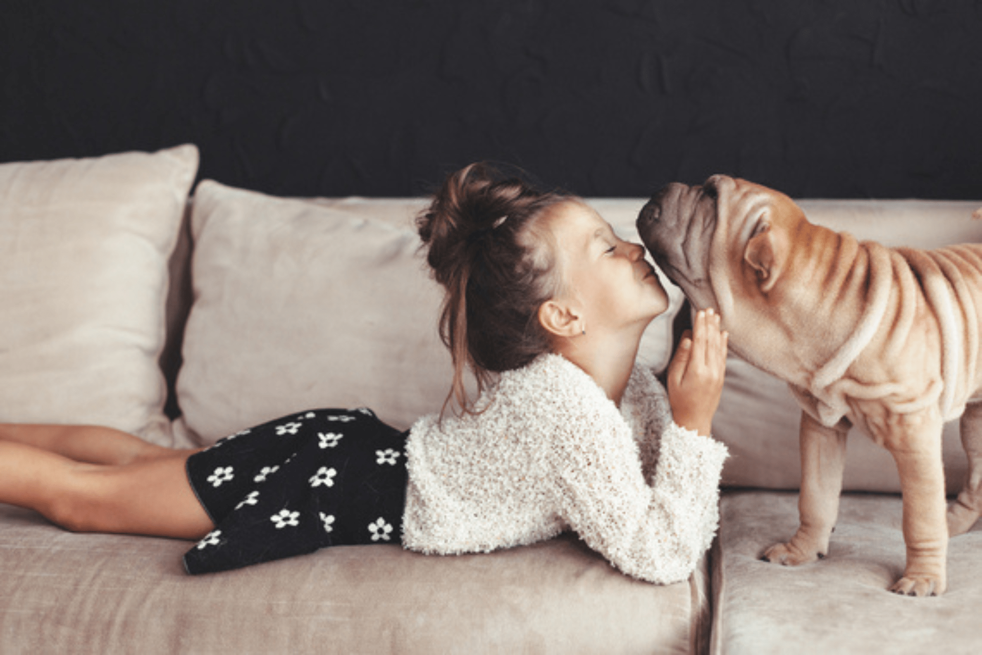 A Guide to Finding the Perfect Family Pet - Dog