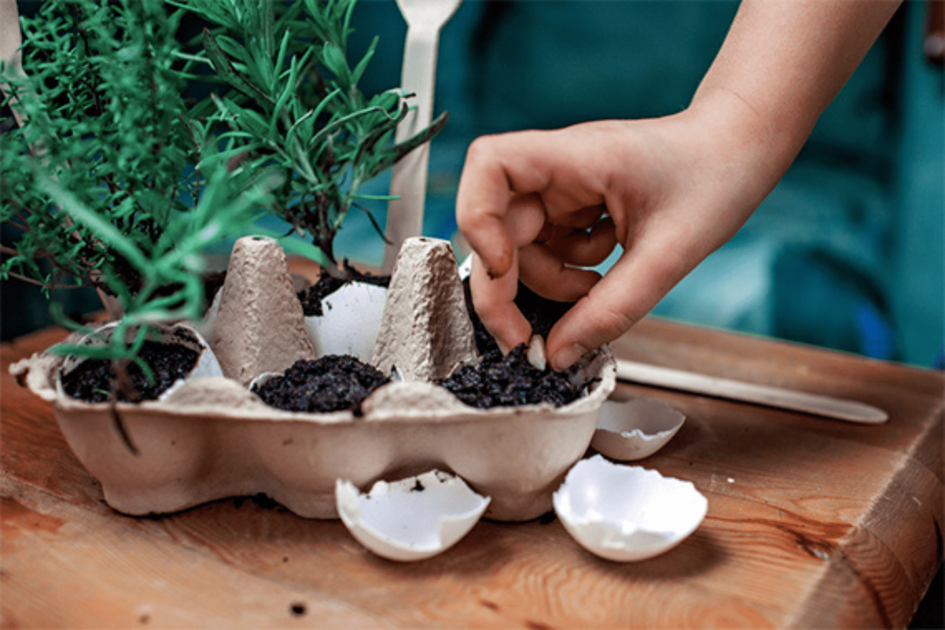 DIY Kids Herb Garden Tile 1