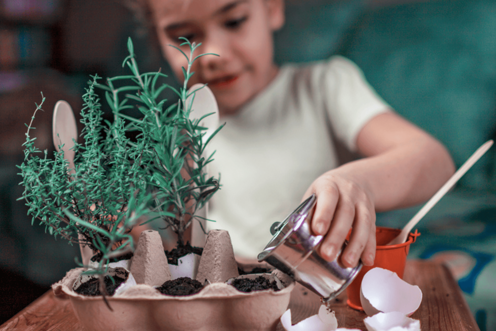 DIY Kids Herb Garden - Header