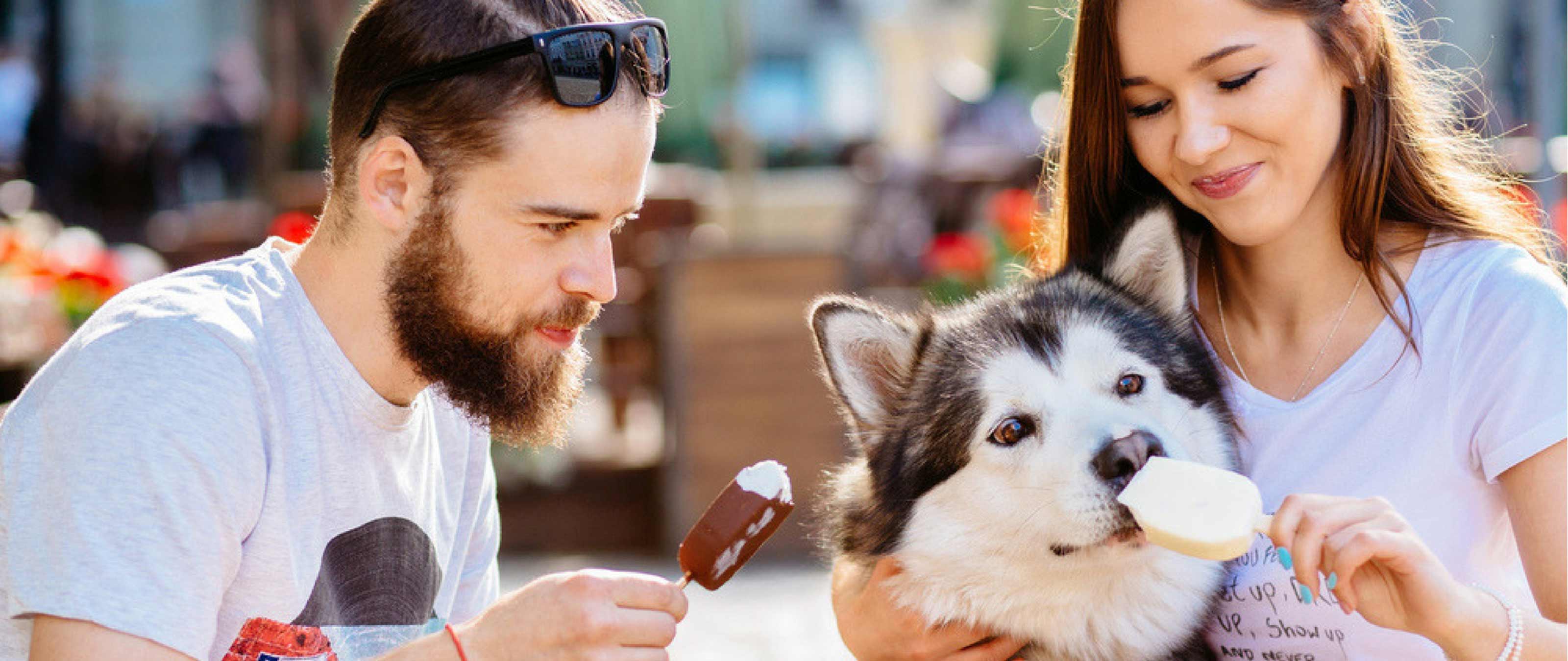 Dog Friendly Zones
