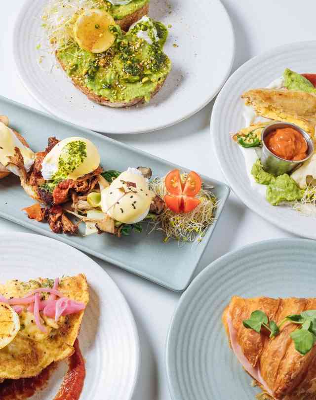 Schnitz | Orion Springfield Central, Ipswich Brisbane